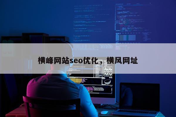 横峰网站seo优化，横风网址