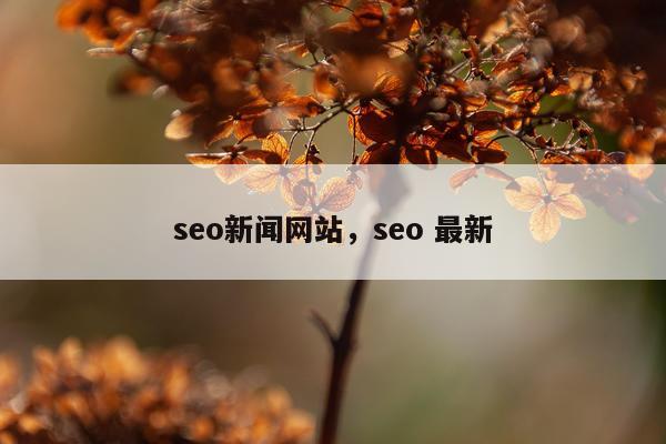seo新闻网站，seo 最新