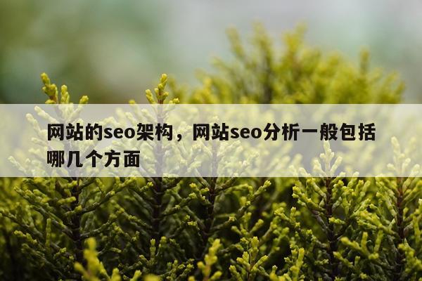 网站的seo架构，网站seo分析一般包括哪几个方面