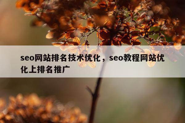 seo网站排名技术优化，seo教程网站优化上排名推广