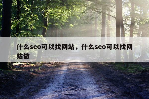 什么seo可以找网站，什么seo可以找网站做
