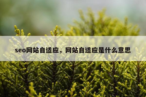 seo网站自适应，网站自适应是什么意思