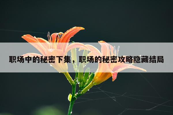 职场中的秘密下集，职场的秘密攻略隐藏结局