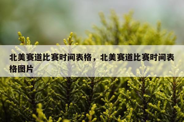 北美赛道比赛时间表格，北美赛道比赛时间表格图片