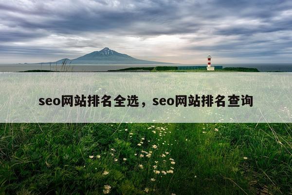 seo网站排名全选，seo网站排名查询