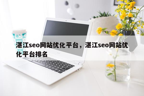湛江seo网站优化平台,湛江seo网站优化平台排名