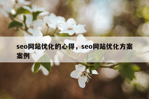 seo网站优化的心得，seo网站优化方案案例