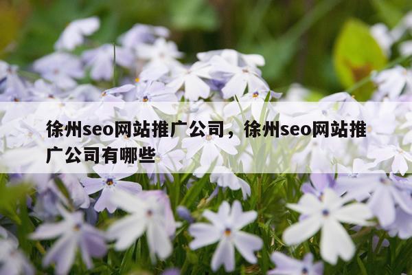 徐州seo网站推广公司，徐州seo网站推广公司有哪些