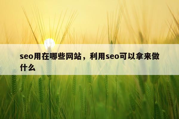 seo用在哪些网站，利用seo可以拿来做什么