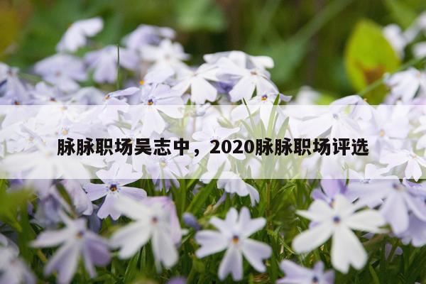 脉脉职场吴志中,2020脉脉职场评选