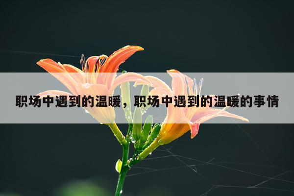 职场中遇到的温暖，职场中遇到的温暖的事情