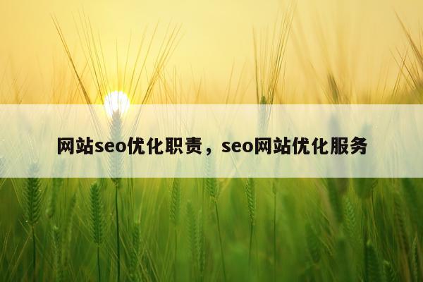 网站seo优化职责，seo网站优化服务