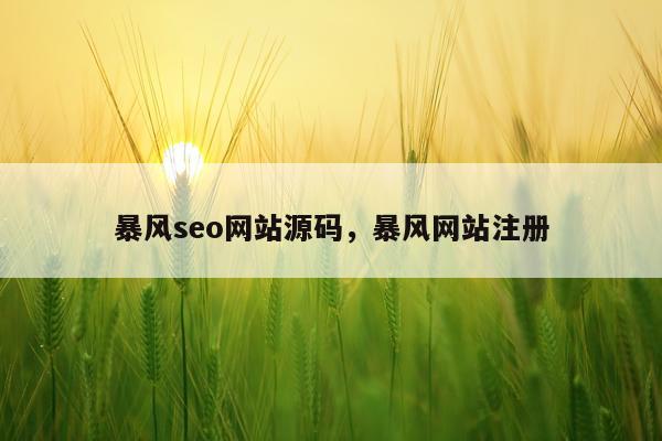 暴风seo网站源码，暴风网站注册
