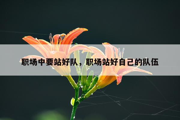 职场中要站好队,职场站好自己的队伍