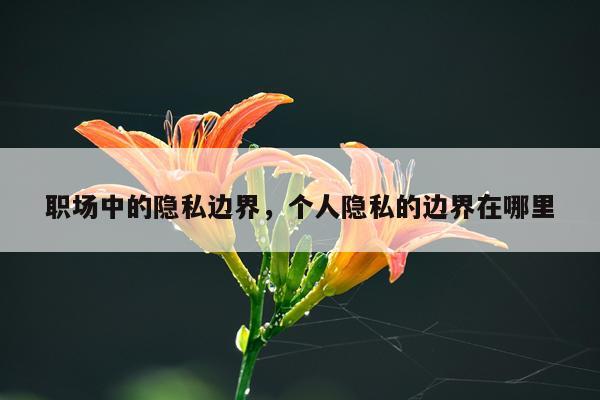 职场中的隐私边界,个人隐私的边界在哪里