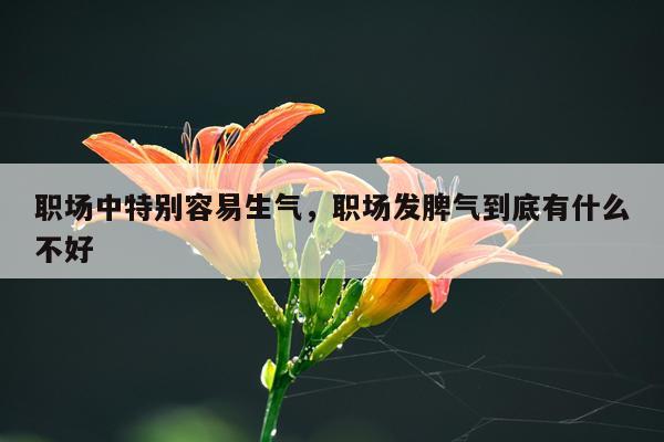 职场中特别容易生气，职场发脾气到底有什么不好