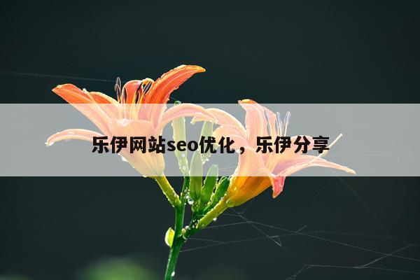 乐伊网站seo优化，乐伊分享