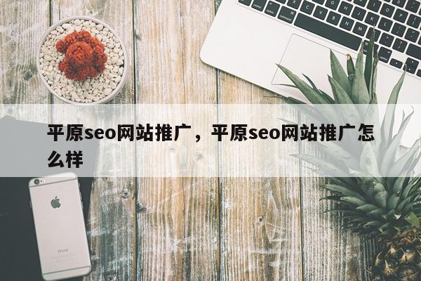平原seo网站推广，平原seo网站推广怎么样