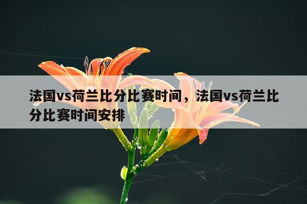 法国vs荷兰比分比赛时间，法国vs荷兰比分比赛时间安排