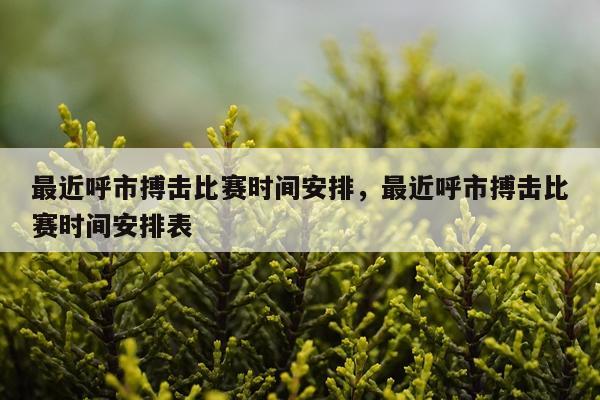 最近呼市搏击比赛时间安排，最近呼市搏击比赛时间安排表