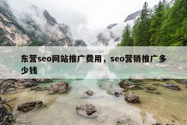 东营seo网站推广费用，seo营销推广多少钱