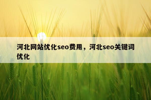河北网站优化seo费用，河北seo关键词优化