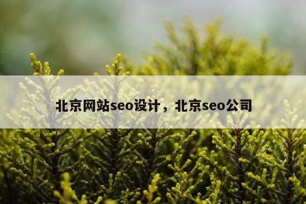北京网站seo设计，北京seo公司