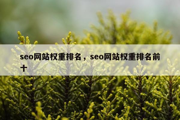 seo网站权重排名，seo网站权重排名前十
