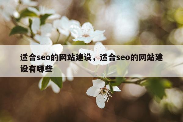 适合seo的网站建设，适合seo的网站建设有哪些