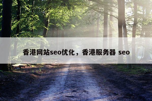 香港网站seo优化，香港服务器 seo