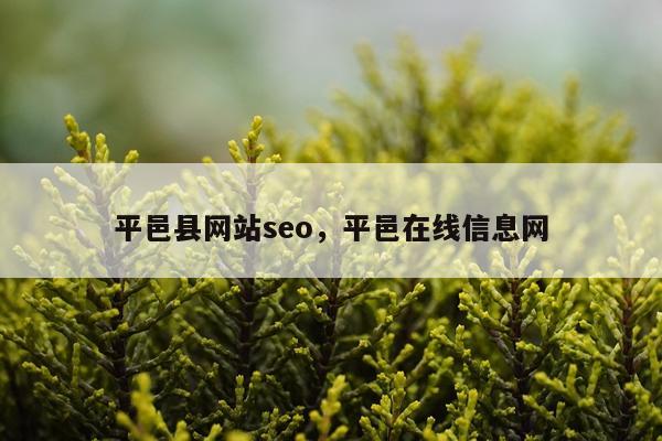 平邑县网站seo，平邑在线信息网