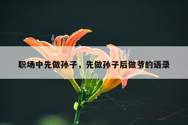 职场中先做孙子，先做孙子后做爷的语录