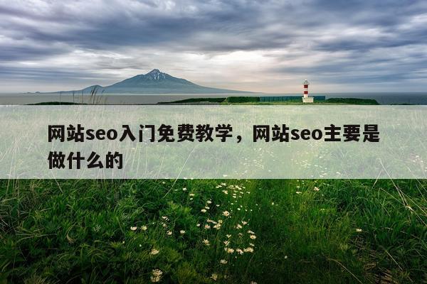 网站seo入门免费教学，网站seo主要是做什么的