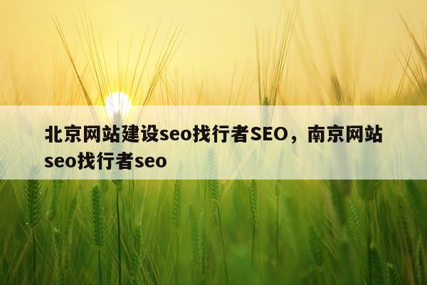 北京网站建设seo找行者SEO，南京网站seo找行者seo