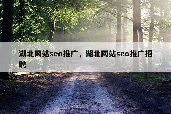 湖北网站seo推广，湖北网站seo推广招聘