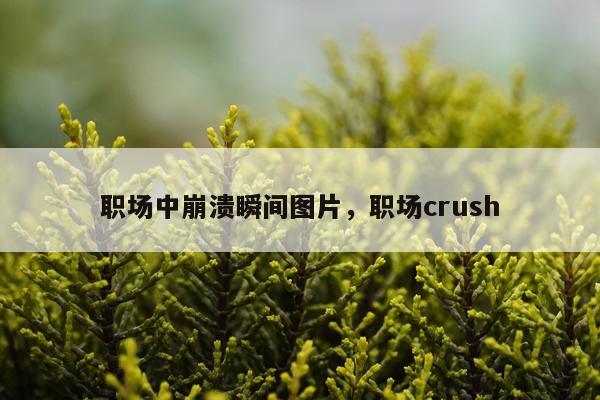 职场中崩溃瞬间图片,职场crush