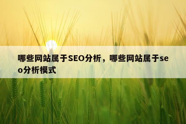 哪些网站属于SEO分析，哪些网站属于seo分析模式