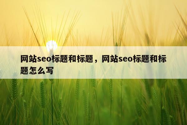 网站seo标题和标题，网站seo标题和标题怎么写