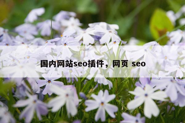 国内网站seo插件，网页 seo