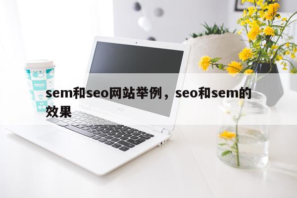 sem和seo网站举例，seo和sem的效果