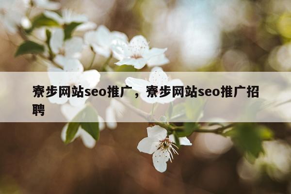 寮步网站seo推广，寮步网站seo推广招聘
