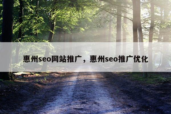 惠州seo网站推广,惠州seo推广优化