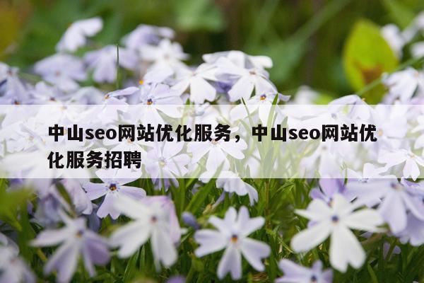中山seo网站优化服务，中山seo网站优化服务招聘