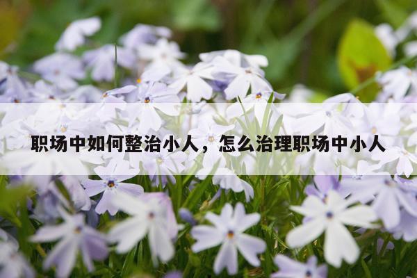 职场中如何整治小人，怎么治理职场中小人