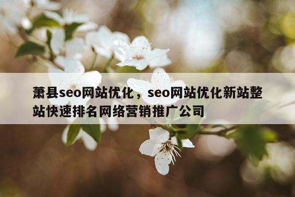 萧县seo网站优化，seo网站优化新站整站快速排名网络营销推广公司
