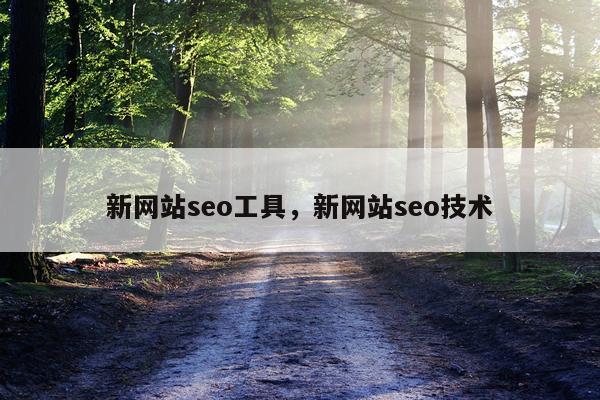 新网站seo工具，新网站seo技术