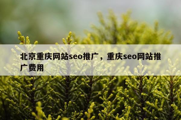 北京重庆网站seo推广,重庆seo网站推广费用