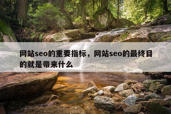 网站seo的重要指标，网站seo的最终目的就是带来什么