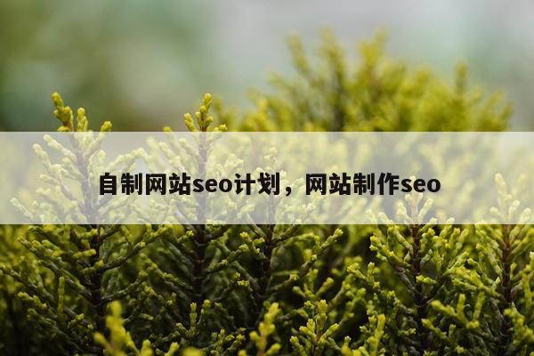 自制网站seo计划，网站制作seo