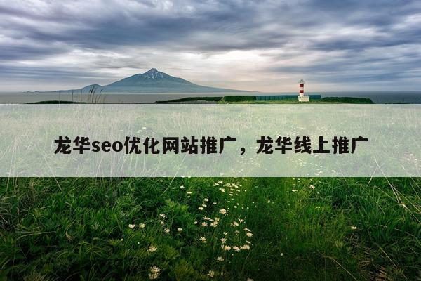 龙华seo优化网站推广，龙华线上推广
